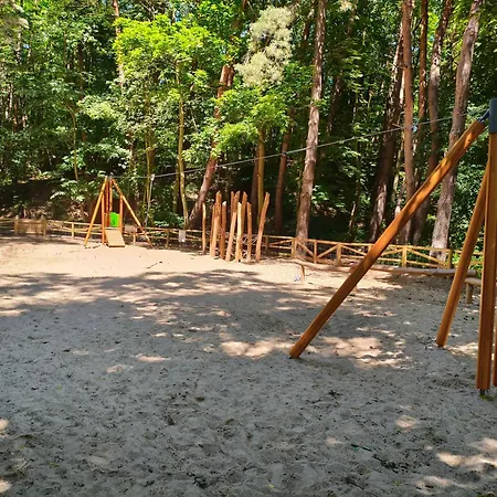 Marea Przylesie Opera Lesna * Sopot